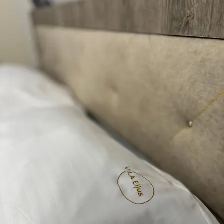 Eljus Guest house *
